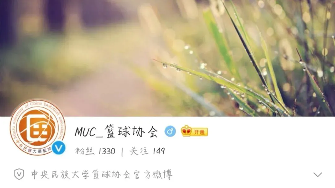 如何设计个性化的篮球训练方案以促进个体发展_2
